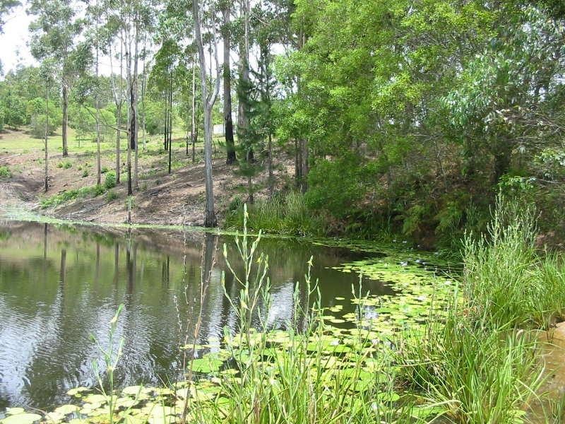 Maleny QLD 4552