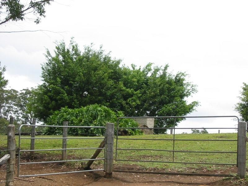 Maleny QLD 4552