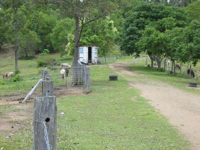 Maleny QLD 4552
