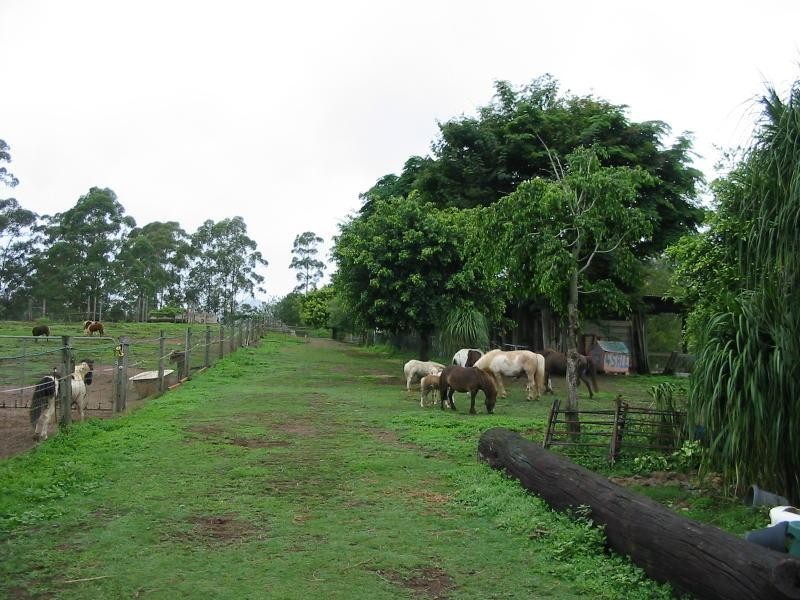 Maleny QLD 4552
