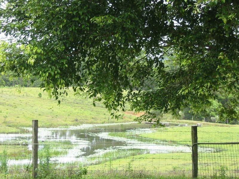 Maleny QLD 4552