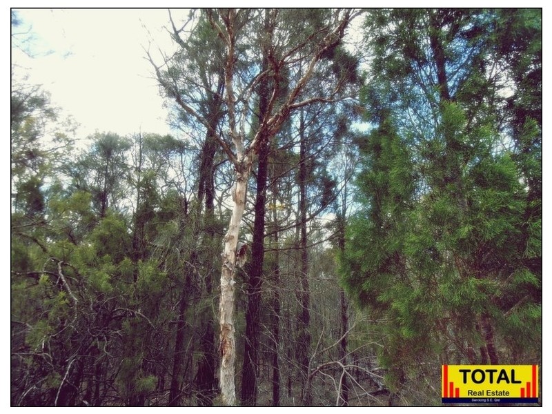 Lot 42 Box Drive, Millmerran Downs QLD 4357