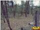 Lot 42 Box Drive, Millmerran Downs QLD 4357