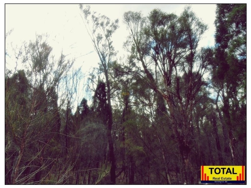 Lot 42 Box Drive, Millmerran Downs QLD 4357