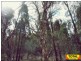Lot 42 Box Drive, Millmerran Downs QLD 4357