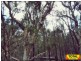 Lot 42 Box Drive, Millmerran Downs QLD 4357