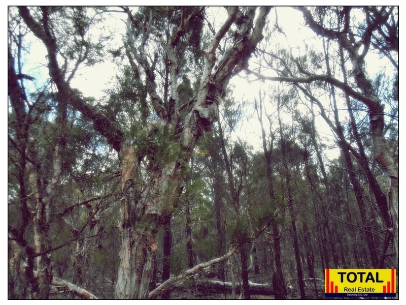 Lot 42 Box Drive, Millmerran Downs QLD 4357