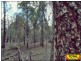 Lot 42 Box Drive, Millmerran Downs QLD 4357