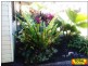 Buderim QLD 4556