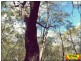 Lot 42 Box Drive, Millmerran QLD 4357
