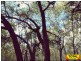 Lot 42 Box Drive, Millmerran QLD 4357
