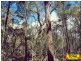 Lot 42 Box Drive, Millmerran QLD 4357