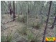 Lot 42 Box Drive, Millmerran QLD 4357