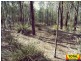 Lot 42 Box Drive, Millmerran Downs QLD 4357