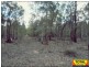Lot 42 Box Drive, Millmerran Downs QLD 4357