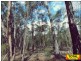 Lot 42 Box Drive, Millmerran Downs QLD 4357