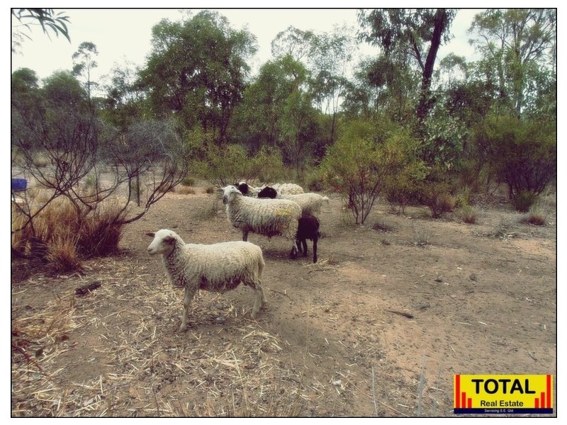 Cypress Gardens QLD 4357
