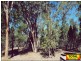 Lot 4 Ayers Rock Rd, Cypress Gardens QLD 4357