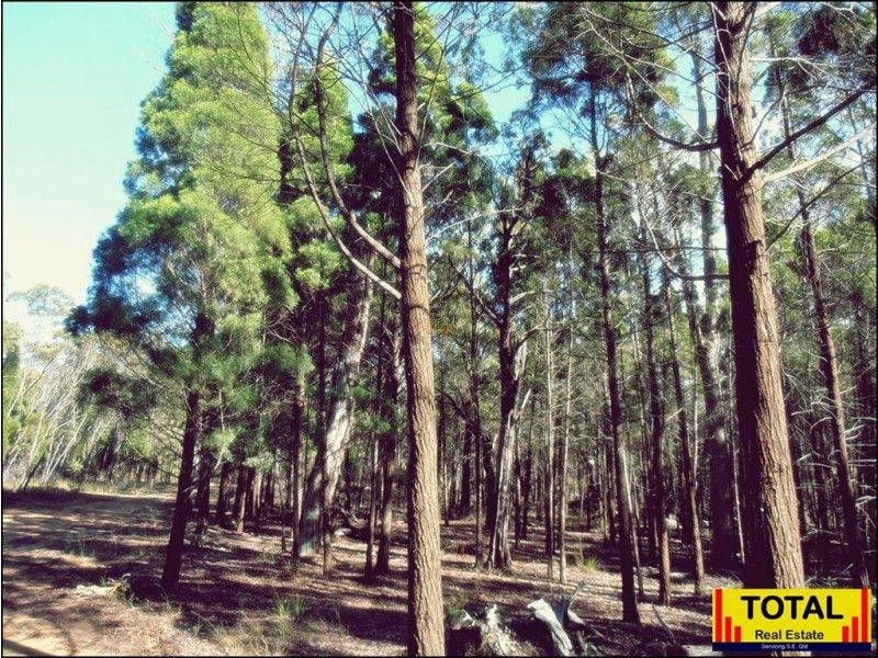 Cypress Gardens QLD 4357