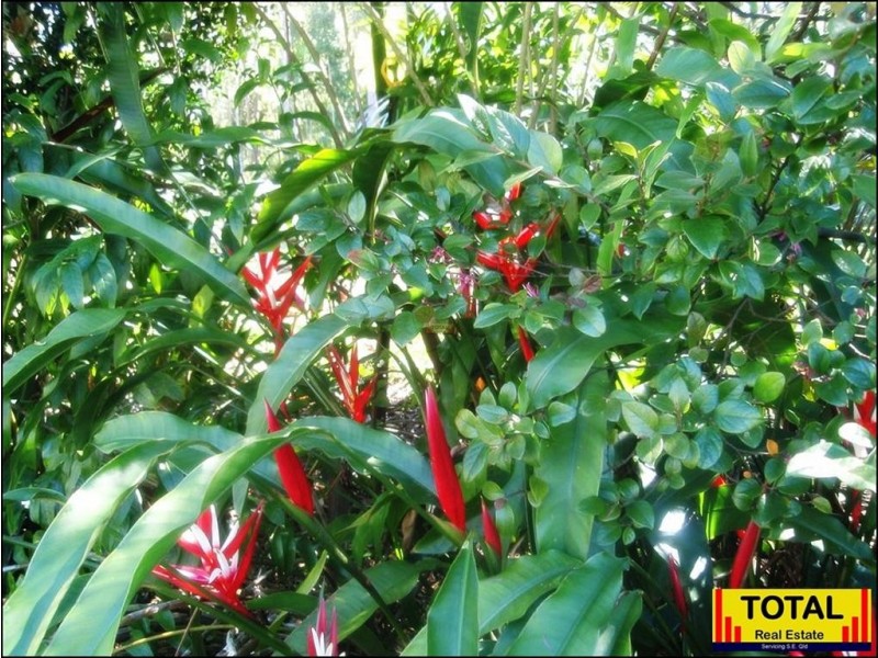 Forest Glen QLD 4556