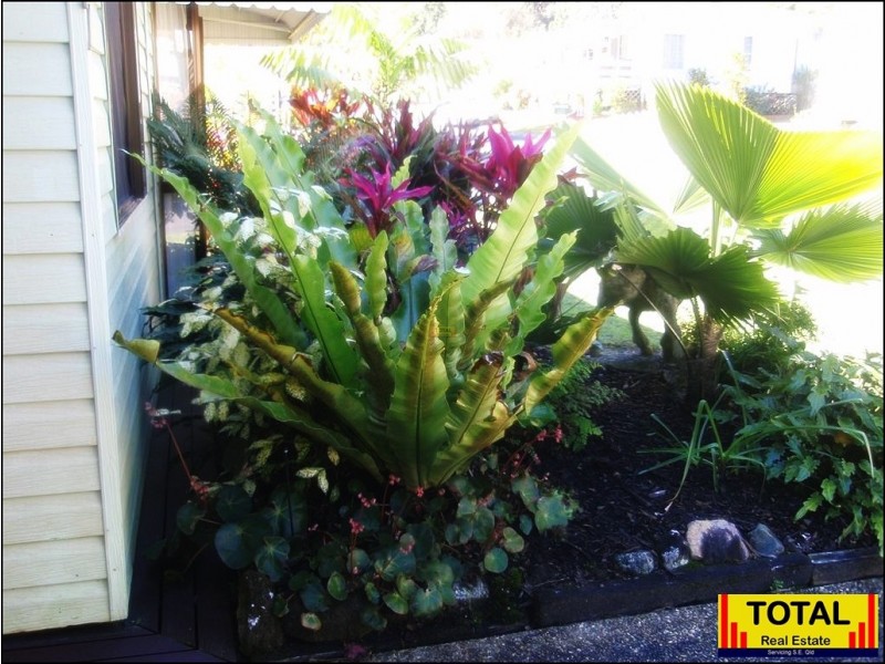 Forest Glen QLD 4556