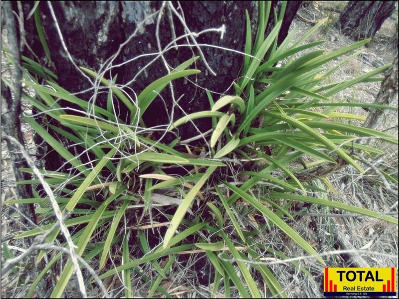 Lot 42 Box Drive, Millmerran QLD 4357