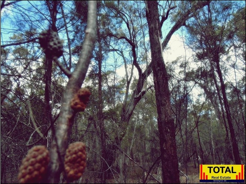 Lot 42 Box Drive, Millmerran QLD 4357