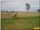 3 Castles Road, Millmerran QLD 4357