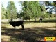 Millmerran QLD 4357
