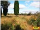 241 Koala Drive, Millmerran QLD 4357