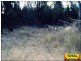 Millmerran QLD 4357