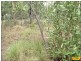 Lot 30 Millmerran Woods Road, Millmerran QLD 4357