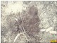 Lot 30 Millmerran Woods Road, Millmerran QLD 4357