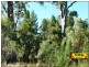 15 Pine Ridge Rd, Millmerran QLD 4357
