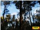 Lot 9 Pine Ridge Road, Millmerran QLD 4357