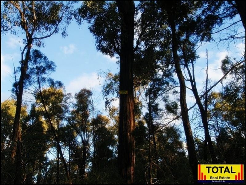 Lot 9 Pine Ridge Road, Millmerran QLD 4357