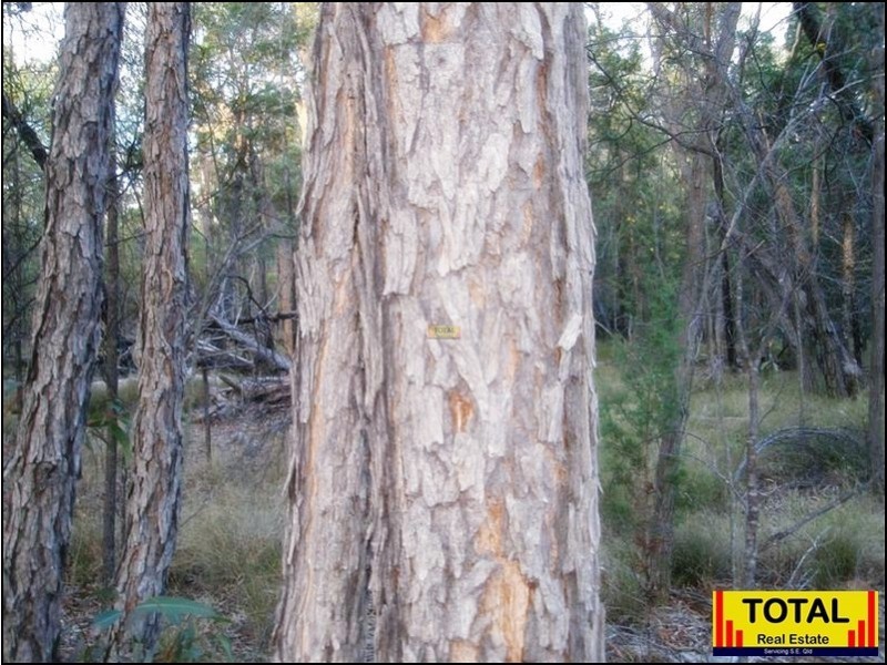 Lot 9 Pine Ridge Road, Millmerran QLD 4357