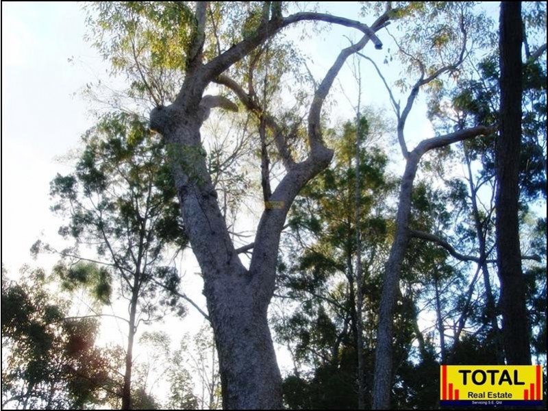 Lot 9 Pine Ridge Road, Millmerran QLD 4357