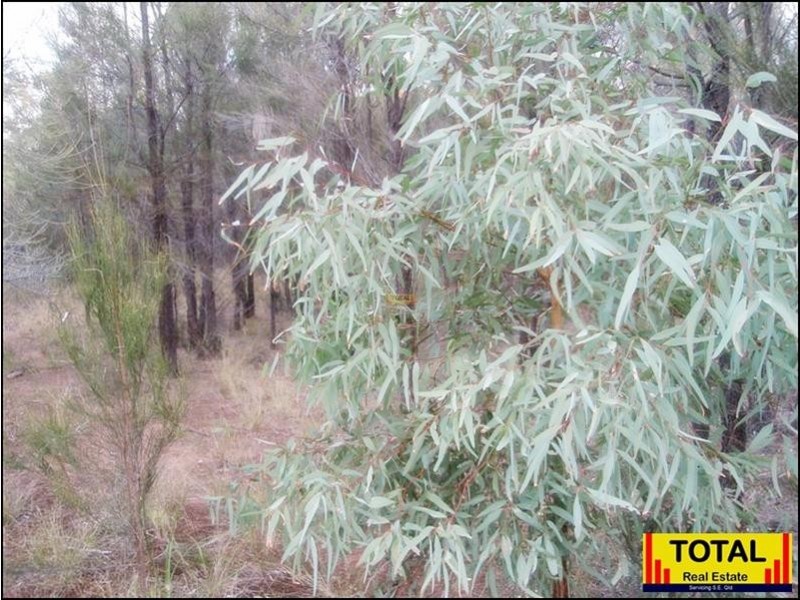 Lot 9 Pine Ridge Road, Millmerran QLD 4357