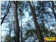 Lot 9 Pine Ridge Road, Millmerran QLD 4357