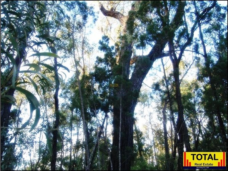Lot 9 Pine Ridge Road, Millmerran QLD 4357