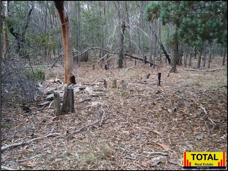 Lot 43 Pine Road, Millmerran QLD 4357