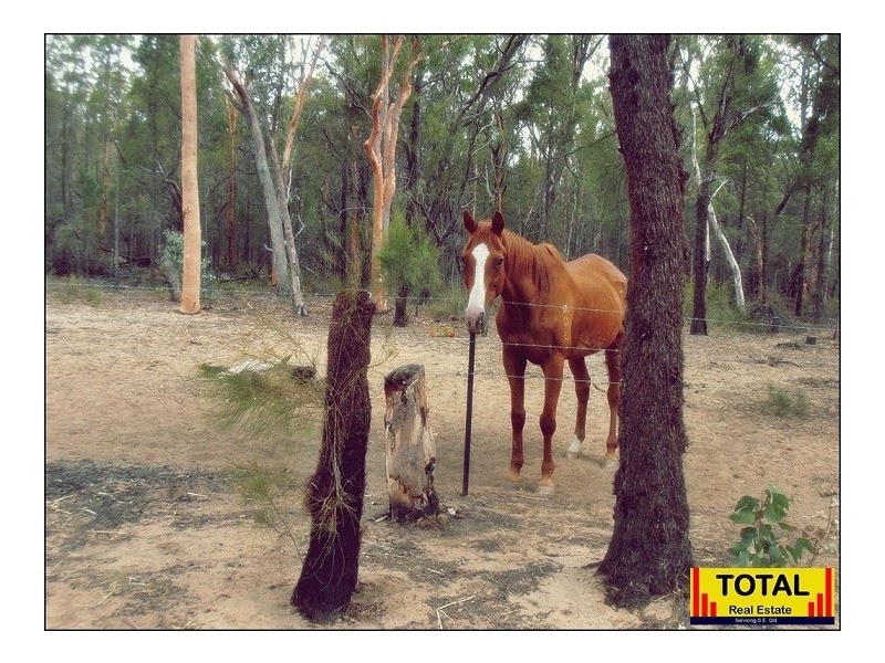 Lot 44 Wallaby, Millmerran QLD 4357