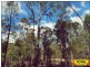 Lot 42 Box Drive, Millmerran Downs QLD 4357