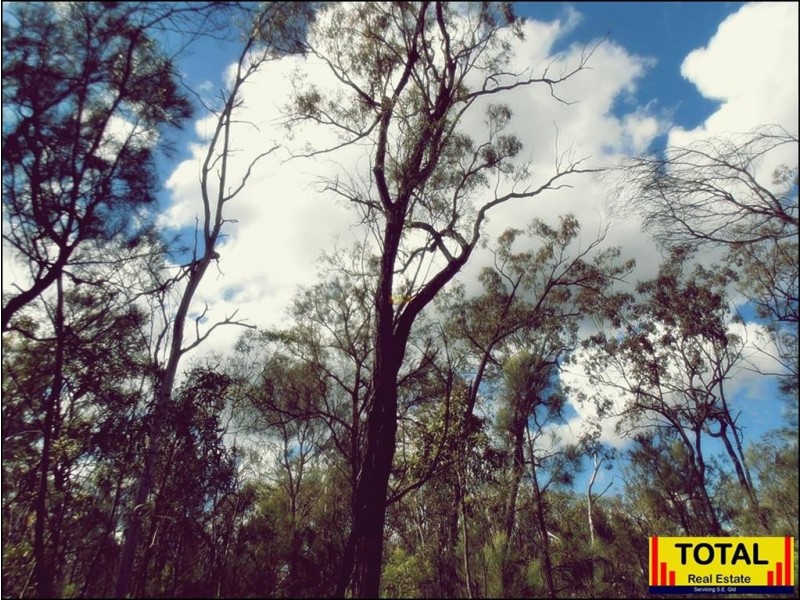 Lot 42 Box Drive, Millmerran Downs QLD 4357