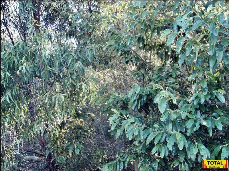 15 Belar, Millmerran Woods QLD 4357