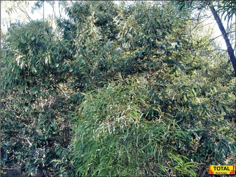 15 Belar, Millmerran Woods QLD 4357