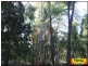 Lot 43 Pine Road, Millmerran Woods QLD 4357