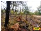 Lot 54 Wattle Court, Millmerran Woods QLD 4357