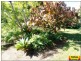 14 Mumford, Narangba QLD 4504